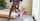 brunette bbc interracial
