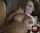 medium tits brunette cumshot