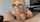 blonde glasses blowjob