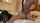 cuckold threesome doggystyle