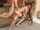 double penetration gangbang rough