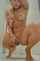 blonde masturbating squirting