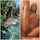amateur nude before and after