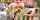 jav molester nhdtb