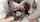 asian jav schoolgirl uniform