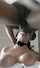 slut sucking bbc
