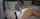 amateur camgirl solo