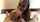 bbc blowjob beauty