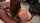 amateur bbc threesome