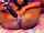 solo dildo masturbation