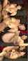 japanese jav big tits
