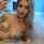 camgirl blone cam