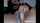 camgirl dildo creamy