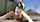 public masturbation asian