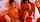 threesome latina blowjob