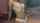 amateur lingerie webcam