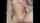 brunette missionary pov