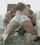 knees blowjob blonde