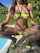 brunette mature bikini