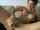 camgirl straight brunette