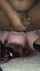 milf bbc interracial