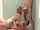 wife double penetration threesome