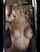 blonde mirror tattoo