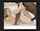 interracial bbc bed
