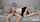 chaturbate live cam