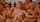 gangbang blonde masturbation