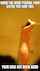 voyeur hot shower