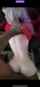 teen black hard