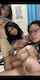 camgirl asian homemade