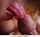 dickhole digging xxx
