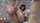 asian threesome xvids