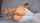 camgirl anal toy