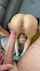 big dick blonde penetration