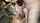 amateur wife cuckold