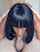 camgirl blowjob ebony