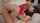 asian sex jav