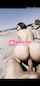 ride japanese beach