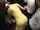 porn ad big tits jav