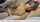 amateur camgirl cute