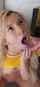 pornstar teen blonde