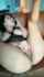 amateur model pussy