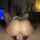 threesome riding amateur