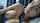 camgirl amateur hot