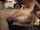 jav japanese gangbang