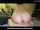 amateur creampie black hair