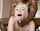 blonde sex bbc